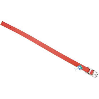 Coastal Pet Double Nylon Collar - Red - 22\