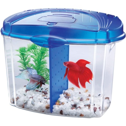 Aqueon Betta Bowl Starter Kit - Blue - .5 Gallon