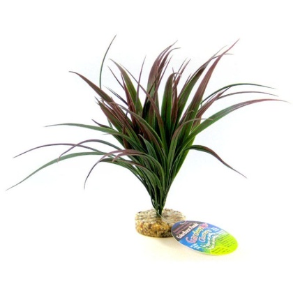 Blue Ribbon Amazonian Plant with Gravel Base Plum - 10\