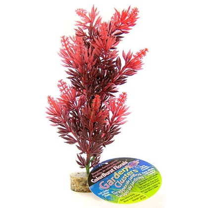 Blue Ribbon Bush Plant with Gravel Base - Red - 8\