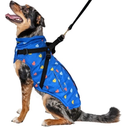 Fashion Pet Puffy Heart Harness Coat Blue - Large