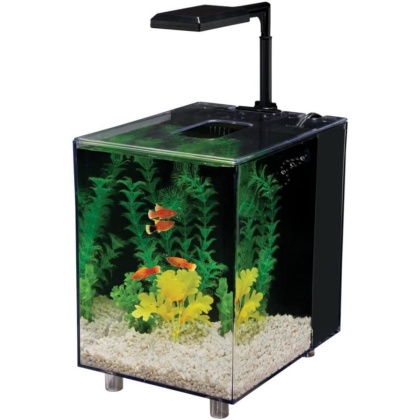 Penn Plax Prism Nano Desktop Aquarium Kit Black - 1 count