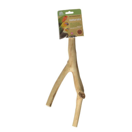 Prevue Naturals Y-Branch Perch - Coffea Wood - 12\